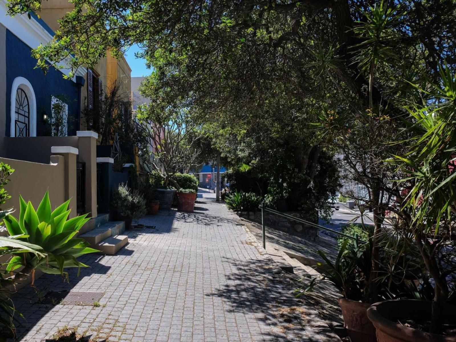 Purple House Accommodations Cape Town Exterior photo